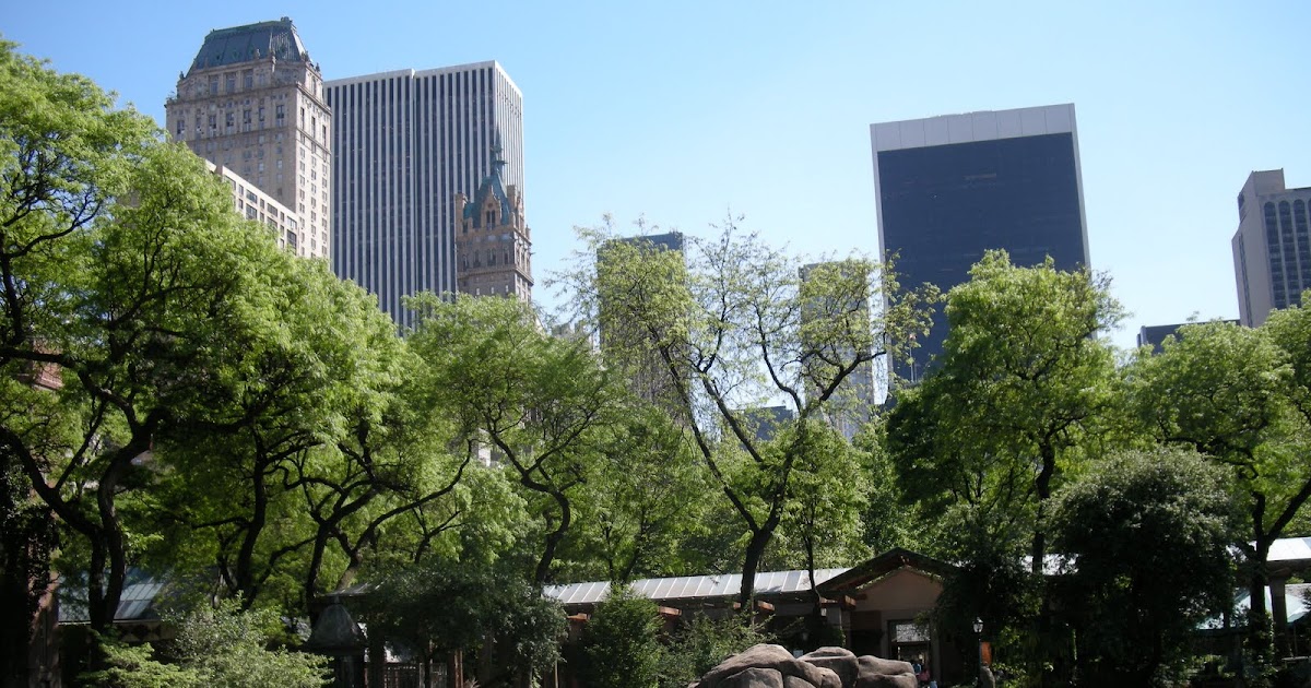 Adventures in New York--The Central Park Zoo