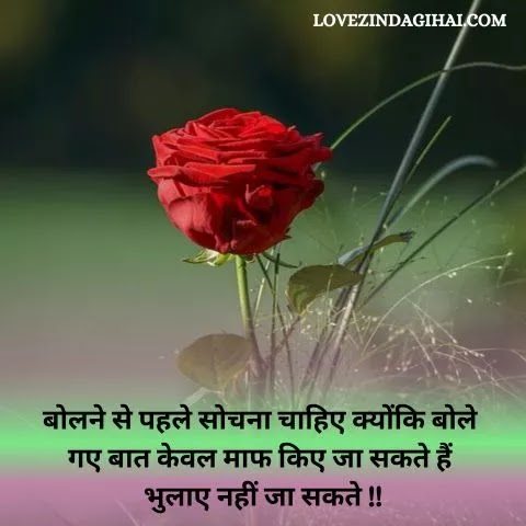 Life Quotes In Hindi 2 Line