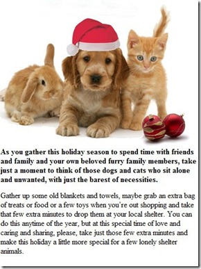 Holiday pet rescue