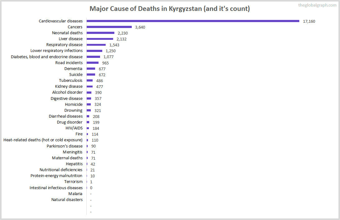 Major Cause of Deaths in Kyrgyzstan (and it's count)