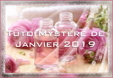 http://veroreves.ek.la/mystere-janvier-2019-p1413206