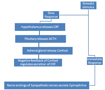 effect-of-stress