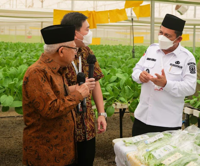 Gubernur Ansar Dampingi Wapres RI Meninjau Areal Pertanian Hidroponik Modern Batamindo Green Farm