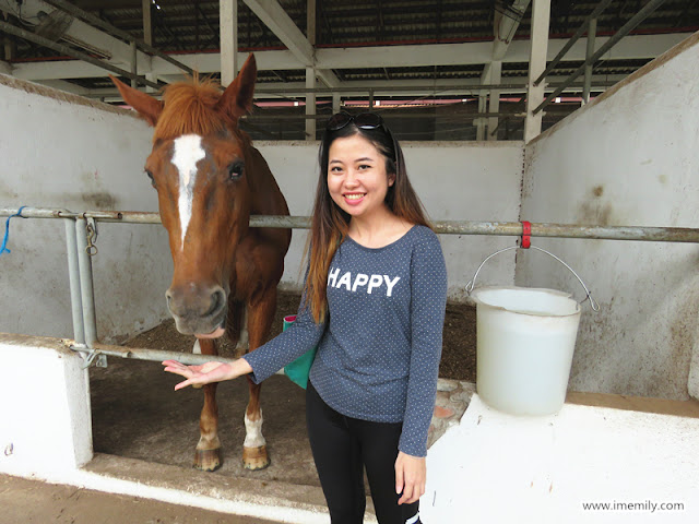 Putrajaya Equestrian Park