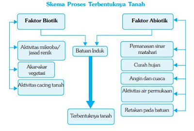 Profil Tanah (Pengertian, Komposisi, Proses Terbentuknya, & Profil)