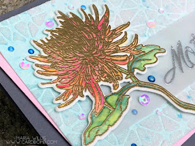 #cardbomb, #mariawillis, #heroarts, #simonsaysstamps, #stampinup, #ablognamedhero, #mum, #momsclematis, #timholtz, #watercolor, #embossingpaste, #heatemboss, #flowers, #sparkly, #stamps, #ink, #paper, #papercraft, creative, #craft, #handmade, #diy, #art, 