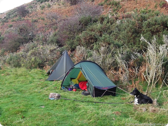 carey burn camp 011