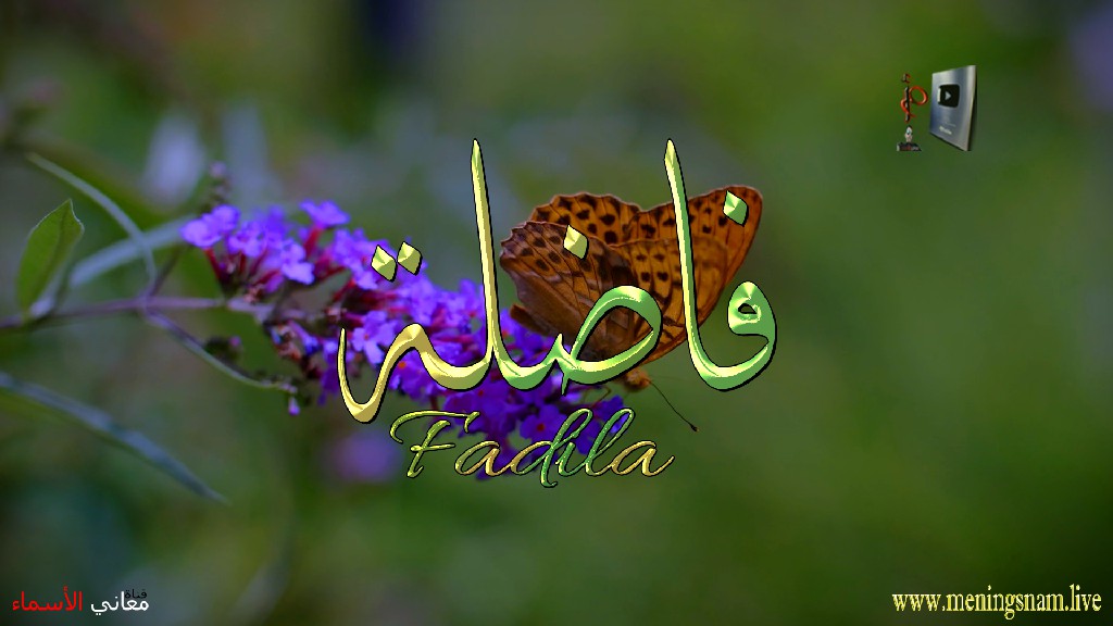 معنى اسم, فاضلة, وصفات, حاملة, هذا الاسم, Fadila,