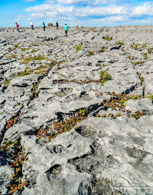 O Burren na Irlanda