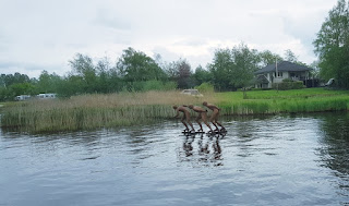 Eisschnellläufer in Earnewald