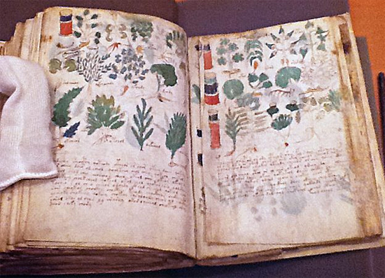Manuscrito Voynich - Img 1