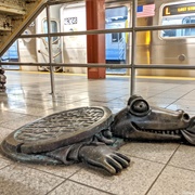 Sewer Alligators, “Alligators in the Sewers” is a prime example of an infestation legend, as are the stories of snakes infesting imported blankets, spiders or scorpions infesting potted cacti, and earwigs eating their way into a person’s brain.