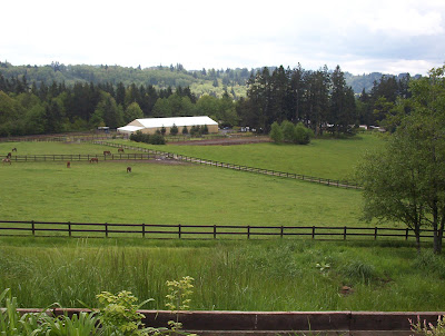 The big pasture is to the right.