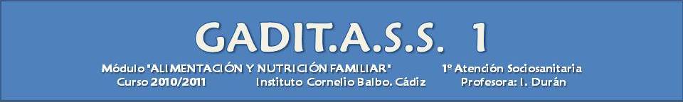 GADIT.A.S.S. 1