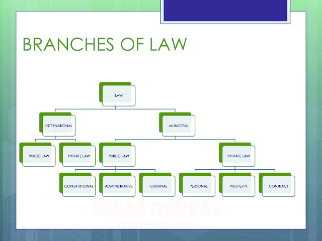 What Are The Branches Of Law