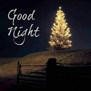 good night images of Christmas tree