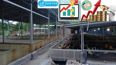 investasi ternak bebek