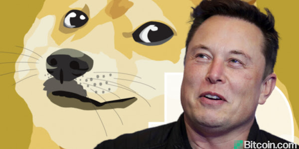 Elon Musk Urges Dogecoin Whales to Dump Their Coins — Even Offers to Pay Them