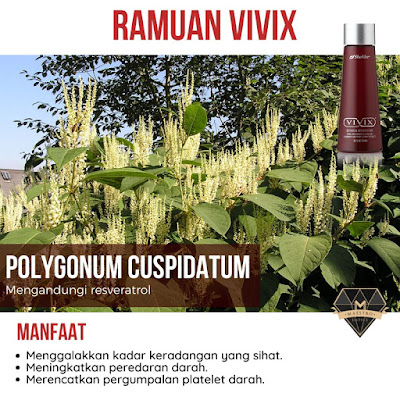 Vivix, Vivix shaklee, manfaat vivix shaklee, keistimewaan vivix shaklee, ramuan vivix shaklee, kandungan vivix shaklee, testimoni vivix shaklee, testimoni vivix shaklee untuk penyakit kronik, testimoni vivix shaklee untuk diabetes, testimoni vivix shaklee untuk buah pinggang,  Glaukoma, Glaucoma, Penyakit Glaukoma,  glaucoma treatment glaucoma causes glaucoma prevention how to prevent glaucoma glaucoma symptoms glaucoma test glaucoma definition glaucoma hereditary what foods to eat to lower eye pressure glaucoma surgery glaucoma diabetes pictures of eye with glaucoma glaucoma consult halos around lights glaucoma glaucoma treatment eye drops what foods to avoid if you have glaucoma glaucoma pathophysiology glaucoma vs cataract symptoms of glaucoma suspect eye pain glaucoma who's at risk of glaucoma glaucoma data glaucoma in children how can i test myself for glaucoma eye specialist for glaucoma is eye twitching a sign of glaucoma symptoms of cataracts hypromellose glaucoma is glaucoma more common in males or females glaucoma in arabic glaucoma slideshare glaucoma dog glaucoma causes and prevention glaucoma and driving pain in eye eye pain when lying down red eyes glaucoma medication glaucoma meaning in gujarati glaucoma ophthalmology glaucoma prevention glaucoma meaning in malayalam late stages of glaucoma symptoms of macular degeneration glaucoma symptoms reddit glaucoma bright focus Testimoni vivix shaklee untuk glaucoma, vitamin shaklee untuk glaukoma, glaucoma, Testimoni Vivix, Testimoni Vivix Shaklee, Testimoni Vivix Shaklee Untuk Glaukoma, vivix shaklee bahaya testimoni vivix shaklee kebaikan dan keburukan vivix shaklee vivix shaklee tipu harga vivix shaklee kelebihan vivix shaklee untuk kulit apa itu vivix shaklee vivix shaklee untuk batuk kesan sampingan vivix shaklee kelebihan vivix untuk ibu berpantang testimoni vivix untuk kanser vivix shaklee bahaya harga vivix shaklee 2020 vivix untuk tibi resv shaklee benefits shaklee vivix testimonials vivix shaklee tipu shaklee vivix price siapa tak boleh ambil vivix shaklee men's health cara makan vivix shaklee harga vivix shaklee testimoni vivix 2018 kandungan vivix shaklee khasiat vivix shaklee untuk buah pinggang vivix shaklee review vivix shaklee price vivix untuk cyst tindakbalas vivix shaklee bahan vivix shaklee vivix shaklee ingredients vivix merosakkan buah pinggang vivix untuk sakit buah pinggang tahap 5 harga vivix shaklee vivix shaklee merawat buah pinggang supplement buah pinggang cara makan vivix shaklee air kelapa cuci buah pinggang vivix shaklee review cara makan vivix shaklee vivix shaklee merawat buah pinggang supplement buah pinggang vivix untuk kurus harga vivix shaklee khasiat vivix khasiat vivix shaklee makanan untuk buah pinggang bocor kegagalan buah pinggang tahap 5 kebaikan vivix blog pesakit buah pinggang testimoni vivix shaklee untuk kencing manis cara makan gla shaklee untuk kencing manis, vivix shaklee untuk eczema vivix shaklee untuk kanser payudara vivix shaklee untuk breast cancer