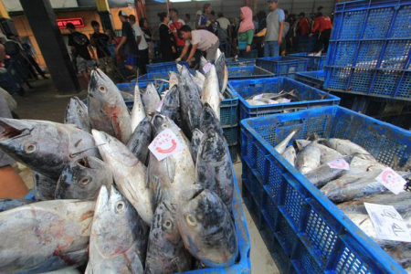 Optimalisasi Hilirisasi Ikan Kaleng, KKP Dorong Sinergi Antar Stakeholder