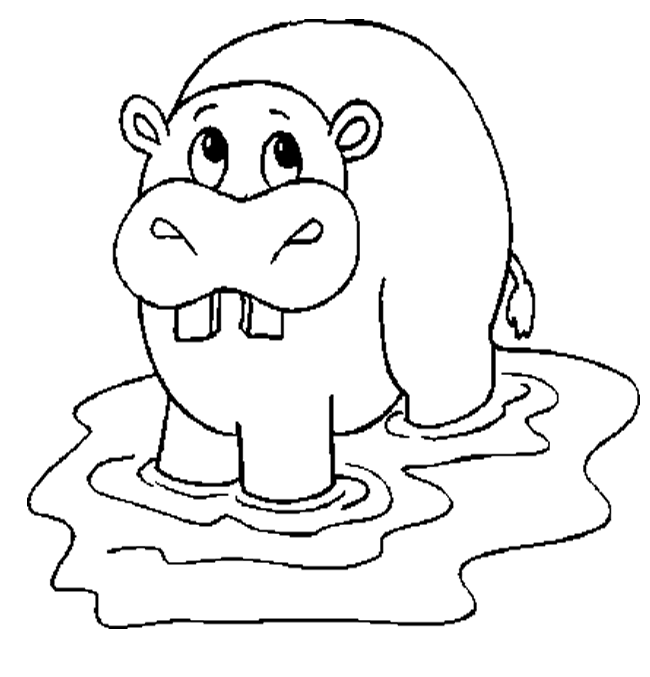 Cute Hippo Coloring Pages To Kids