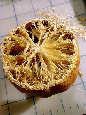 Dried orange that has been cut to expose the fibrous interior