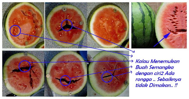 Kamu Pernah Menemukan Semangka yang Berongga di Ditengah Seperti Berikut Ini ?? Sebaiknya Urungkan Niat Untuk Dimakan.. Ini BERBAHAYA..!! Ini Alasannya ...