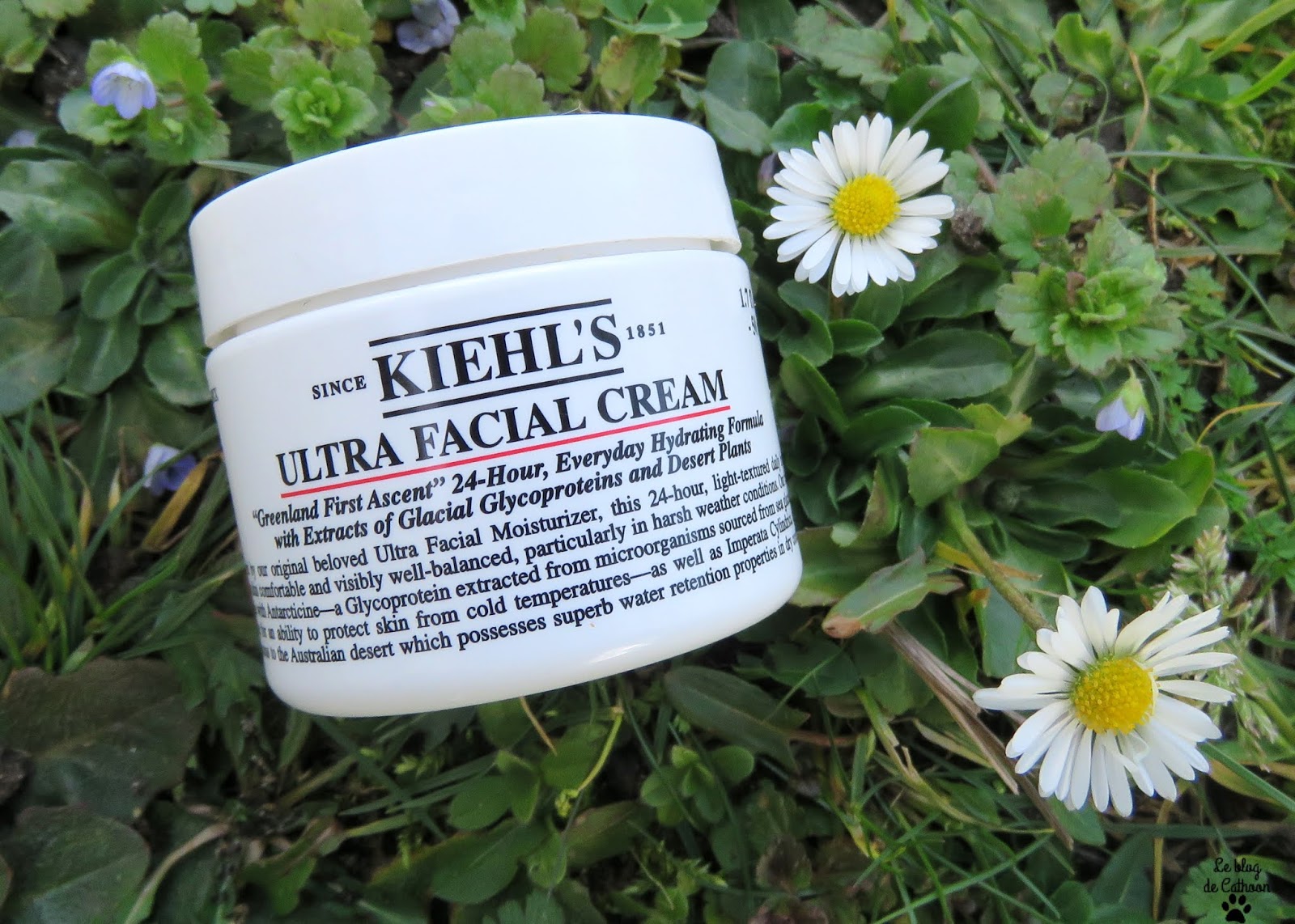 Ultra Facial Cream - Crème Hydratante - Kiehl's