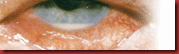 clip_image002