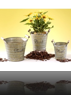 Vase Design
