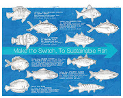 Day 16, Red Fish, Blue Fish . Seafood to Avoid (and letter to Sobeys) (optimized sustfish)