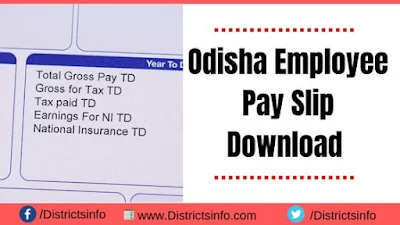 Odisha Employee Pay Slip Download