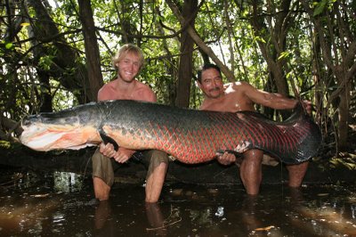 ikan air tawar nama belida nama bilis nama jelawat nama