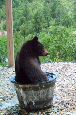 A Barrel of Bear ....