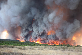 Resultado de imagem para A Fase Delta de combate aos incêndios termina nesta segunda-feira