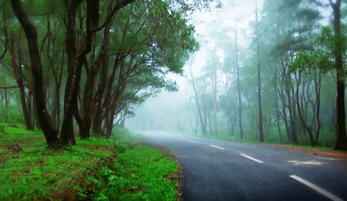 ponmudi-hills