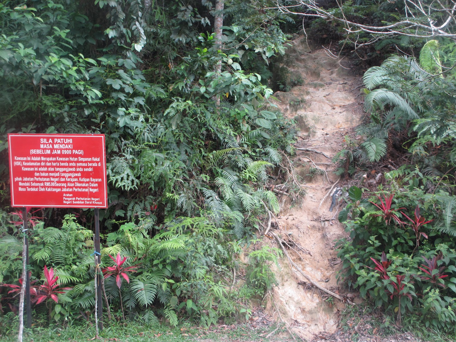 Green Zone!!!: Daypack Hiking Gunung Angsi