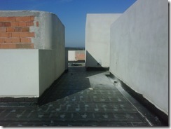 IMG00679-20111007-1000