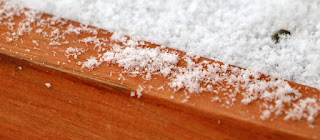 Snow flakes on Sassy's hutch