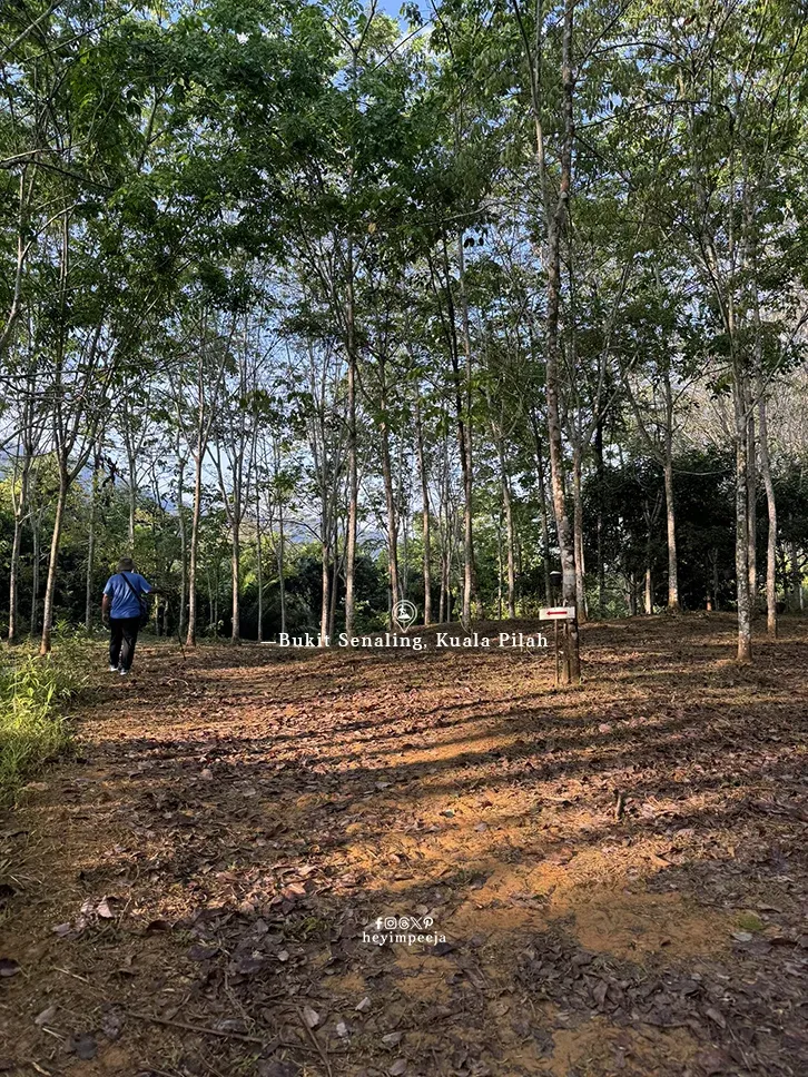 Hiking Bukit Senaling Kuala Pilah