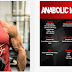 Advanced bodybuilding program featured 