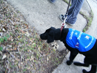 Celia's pulling to the side again, this time to sniff some leaves