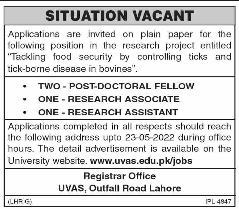 Latest University of Veterinary and Animal Sciences UVAS Management Posts Lahore 2022