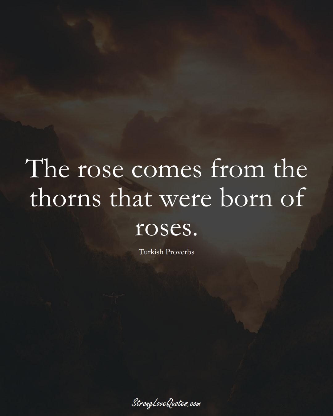 The rose comes from the thorns that were born of roses. (Turkish Sayings);  #MiddleEasternSayings