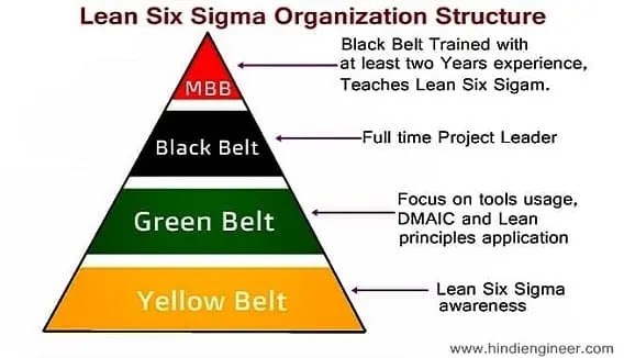 six sigma belts, six sigma belt levels, Lean Six Sigma Organization Structure