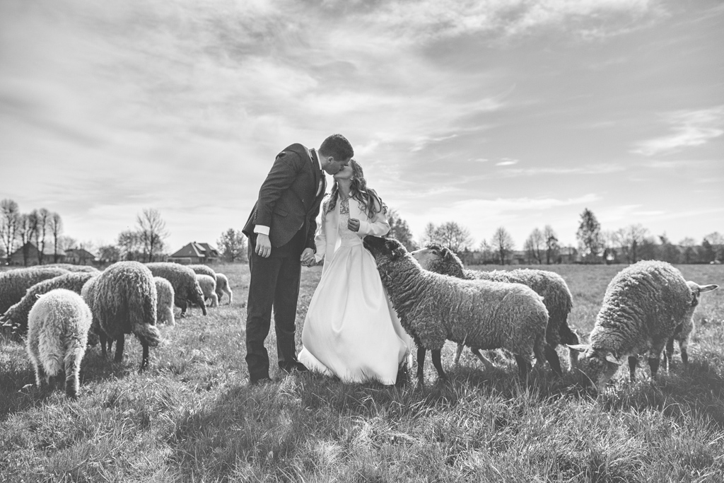 Sabina i Tomek, reportaż ślubny, wesele, plener ślubny, owce, artystyczna fotografia ślubna, katarzyna gabriela fotografia, Bochnia, fotograf na ślub Kraków, Fotograf ślubny Bochnia, Restauracja Hotel Graal, Targowisko, zdjęcia ślubne, Kościół Św. Jana Bochnia, fotografia ślubna, sesja ślubna, sesja z owcami, sesja na zamku, zdjęcia na zamku, zamek w Wiśniczu, naturalna fotografia ślubna,