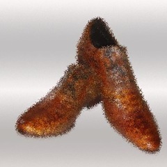 shoe