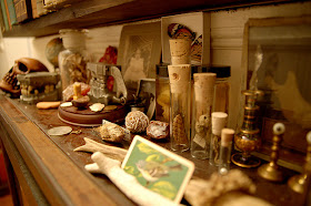 wunderkammer shelf