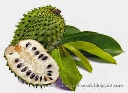 http://hidupsehatku08.blogspot.com/2014/12/jenis-makanan-dan-buah-buahan-untuk.html