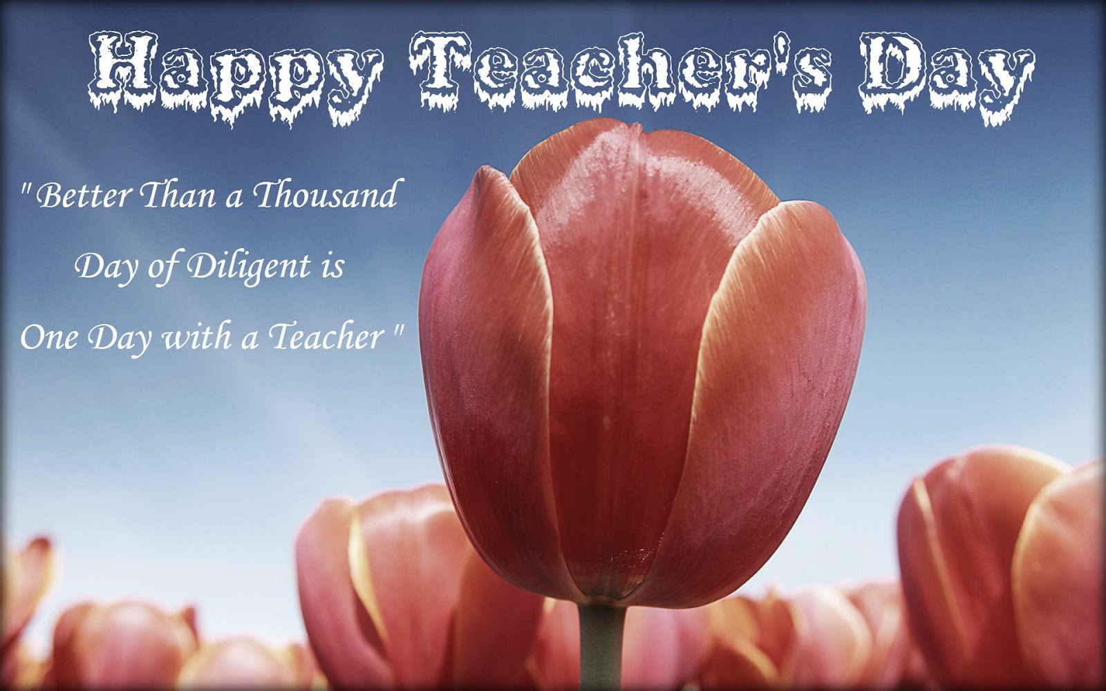Teacher’s Day 2011 HD Wallpapers | Happy Teacher’s Day Pictures ...